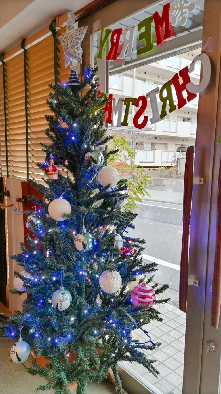 クリスマスツリーが☆